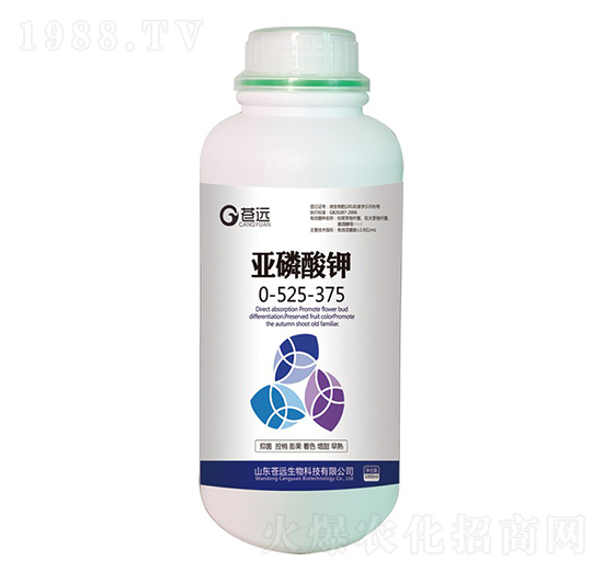 �������0-525-375-�n�h����