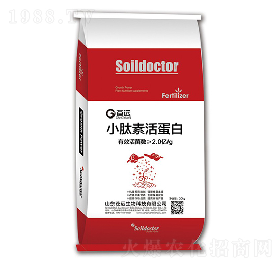 С���ػ��-�n�h����