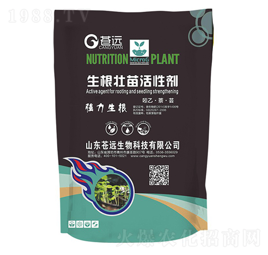 ����������Ԅ�-�n�h����