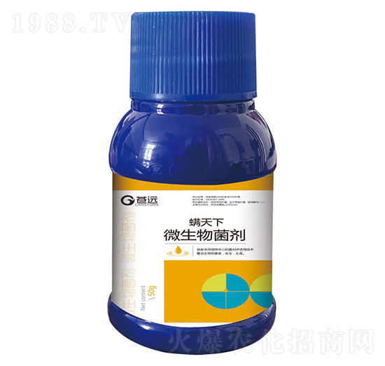 ΢�������-������-�n�h����