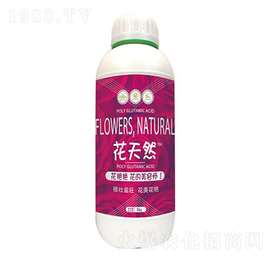 1kg花天然-和天然