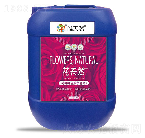 10kg花天然-和天然