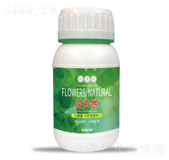 250g花天然葉媚媚-和天然