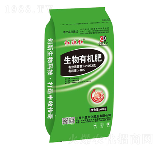 40kg�����ЙC��-�tӳ�t-���}��