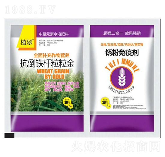 С�������F�U������-�����S