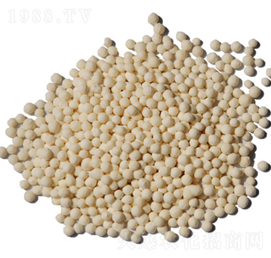 �w���\��-ïʩ