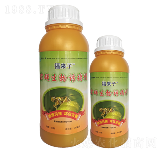 ��(sh��)ω�����T����-���~����