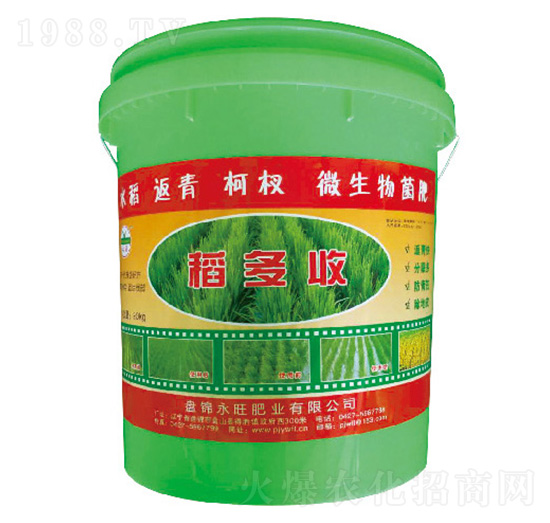 水稻返青柯杈微生物菌肥-稻多收-永旺肥業(yè)