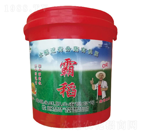 水稻返青分蘗有機(jī)肥-霸稻-永旺肥業(yè)