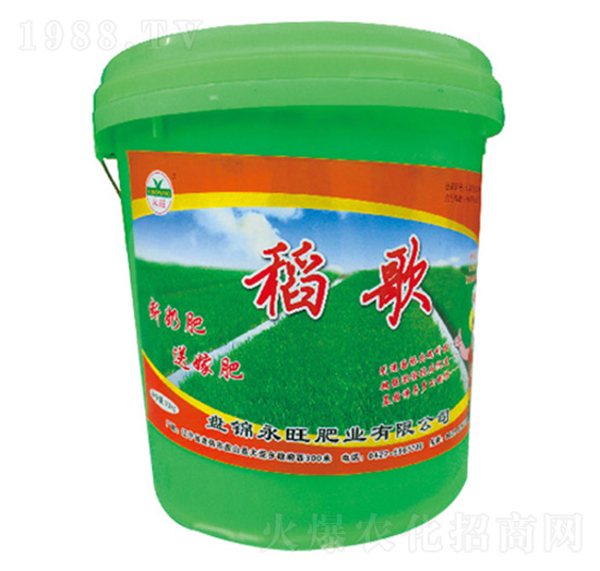 ����-�����ʘI(y��)