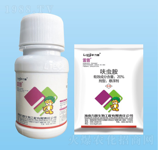 ���՚��x��-��������