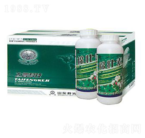 �މ���-̫�S�r��