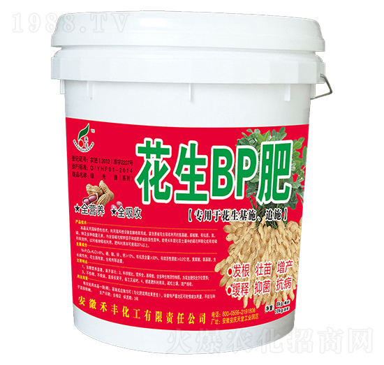 花生BP肥-禾豐