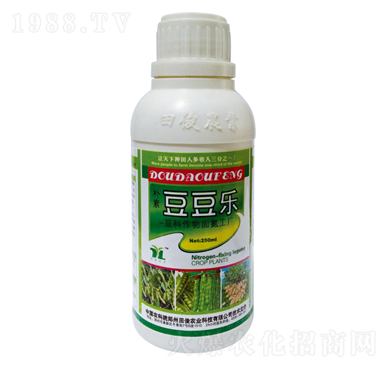 豆類作物固氮工廠-豆豆樂-田俊肥業(yè)