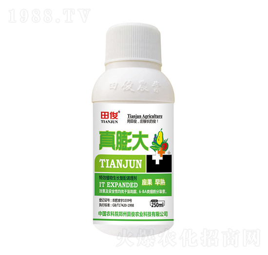 植物生長(zhǎng)復(fù)配調(diào)理劑-真膨大-田俊肥業(yè)