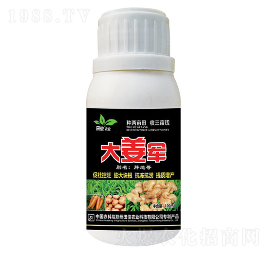 大姜軍-田俊肥業(yè)