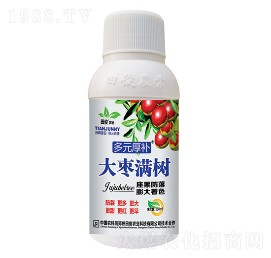 大棗滿樹-多元厚補(bǔ)-田俊肥業(yè)