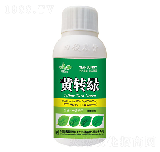 黃轉(zhuǎn)綠葉面肥-田俊肥業(yè)