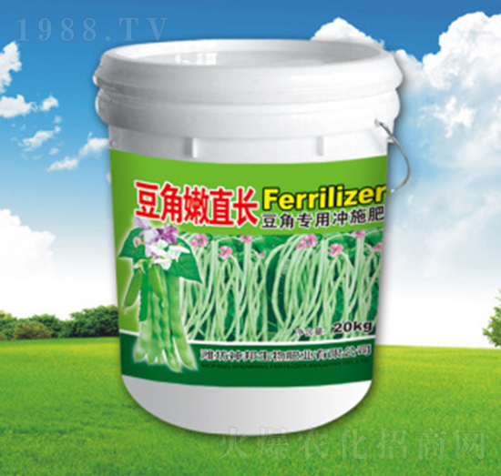 豆角嫩直長-神邦生物