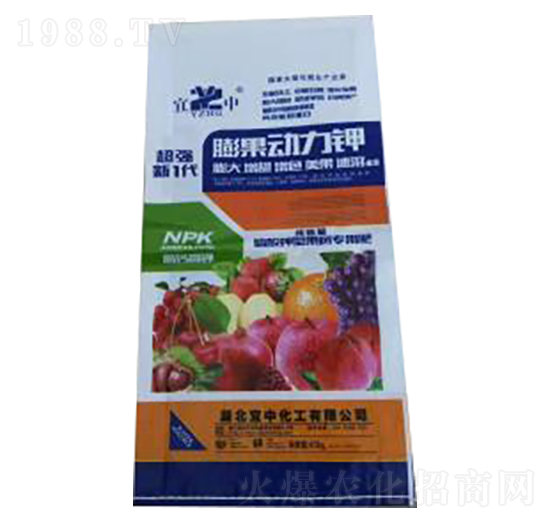 ������͏�(f��)�Ϸ�-��������-���л���