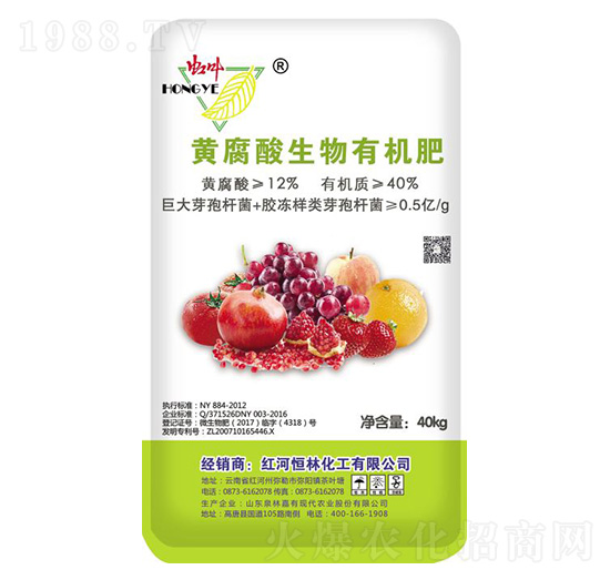 �S���������ЙC(j��)��-���ֻ���