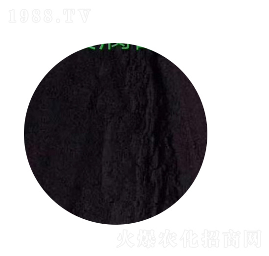 �VԴ�S�����-�P����