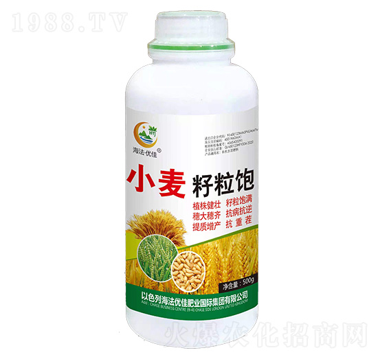 小麥籽粒飽-海法優(yōu)佳