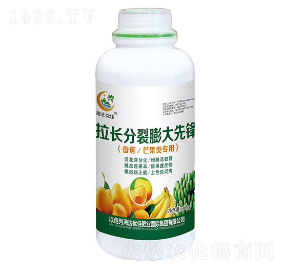 �㽶â���(l��i)��(zhu��n)�����L(zh��ng)����������h-������(y��u)��