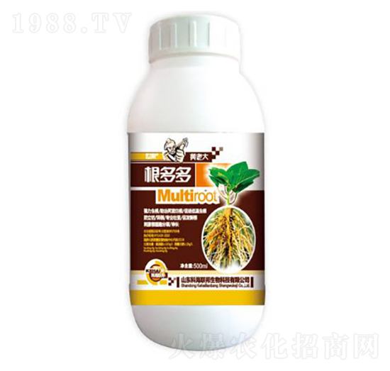 根多多-黃老大-科海聯(lián)邦