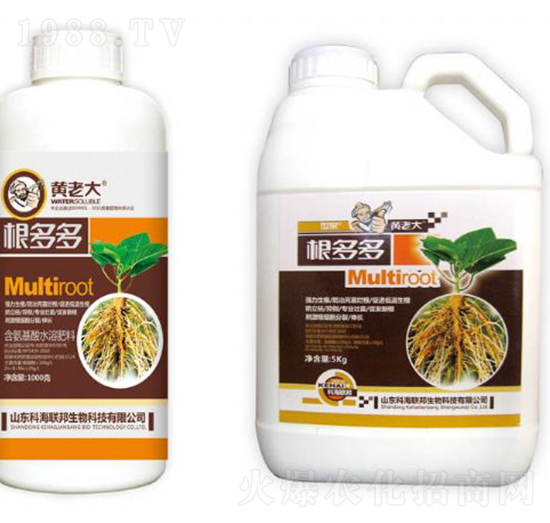 根多多組合套裝-黃老大-科海聯(lián)邦