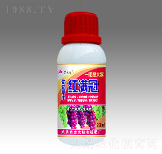 �t�M��-��̫ꖷʘI(y��)