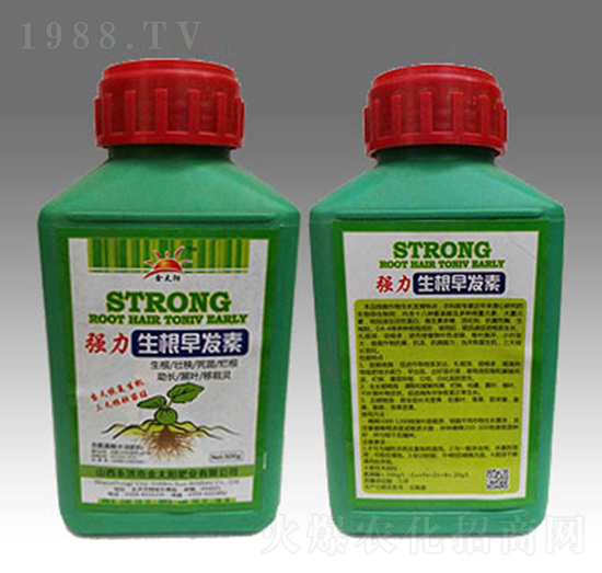 ����������l(f��)��-��̫ꖷʘI(y��)