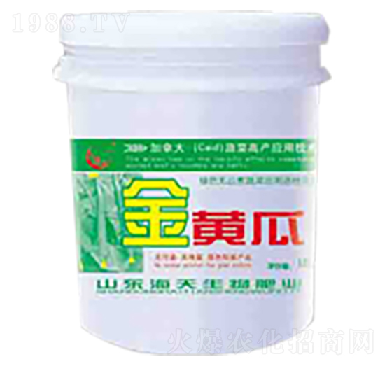 金黃瓜-海天生物