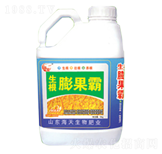 5公斤生根膨果霸-海天生物