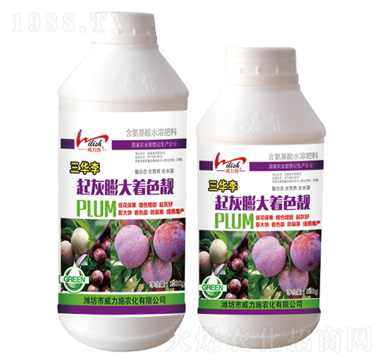 三華李起灰膨大著色靚-威力施