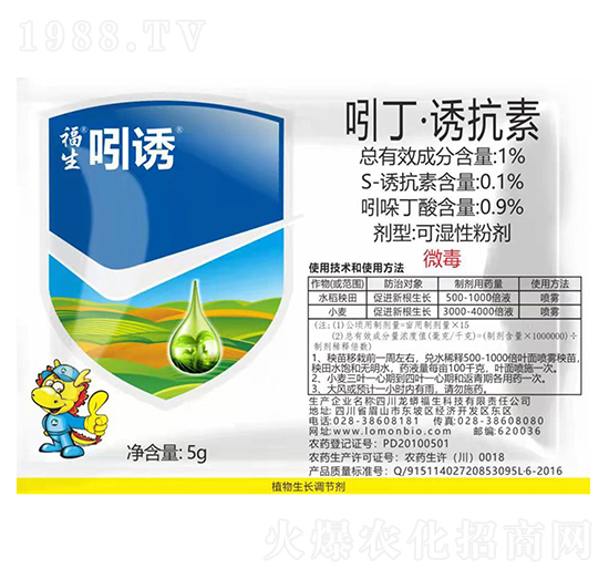 �Ŷ����T����-�������T-��������