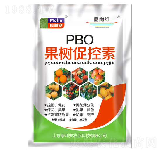 ����ٿ���-Ħ����