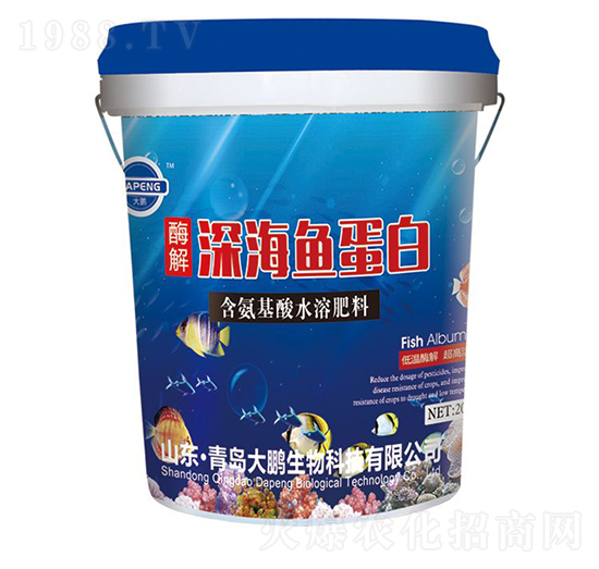 酶解深海魚(yú)蛋白-大鵬生物