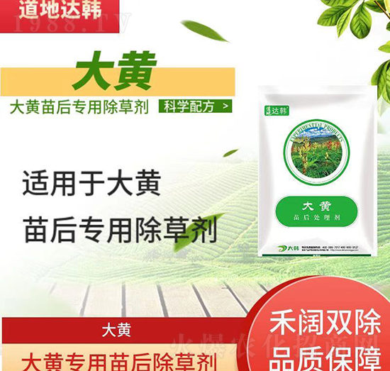 大黃除草劑-大黃苗后-大黃專(zhuān)用-大韓