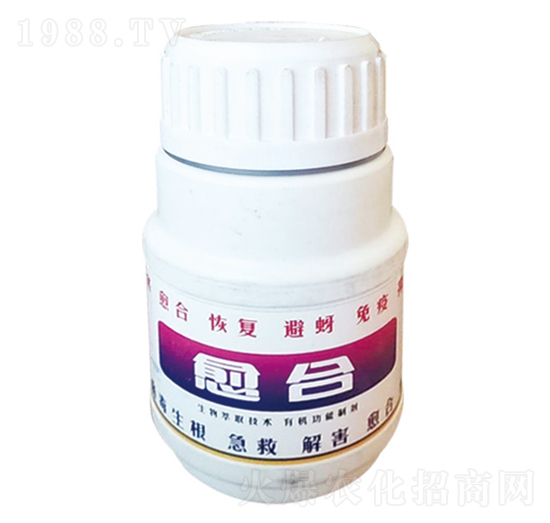 ��(x��)���ޏ�(f��)��-����-����