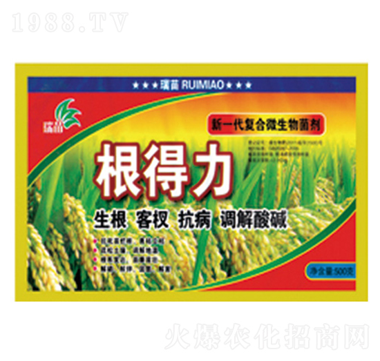 ��(f��)��΢�������-������-����