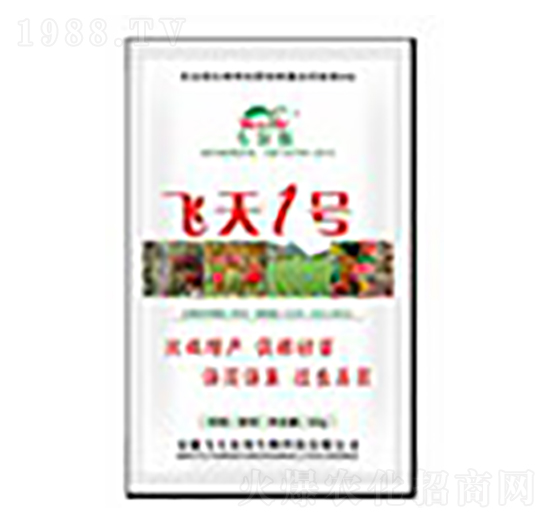 �w��1̖-�Rķ������