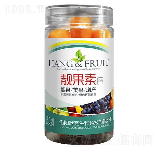 �n����-�W������