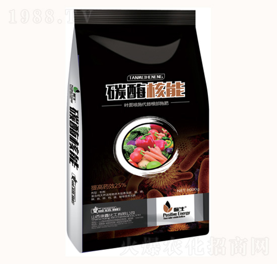 ̼ø����-���λ���