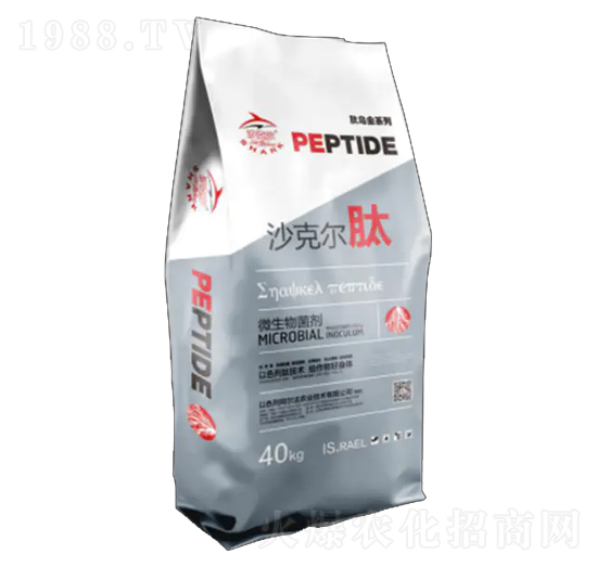 ΢�������-ɳ�ˠ���-�������r(n��ng)�I(y��)