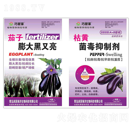 ������������+���S�������Ƅ�-�ɹܼ�-����