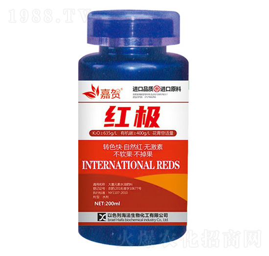 �t�O-ؐ������