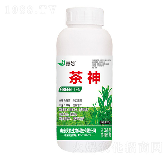 ����-ؐ������