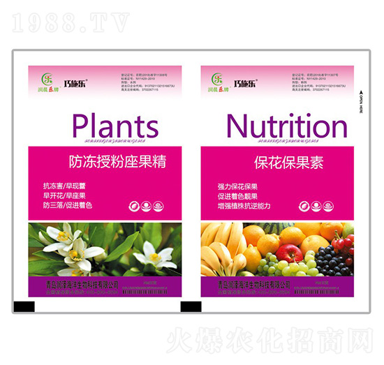 �����ڷ�������+����������-ؐ������