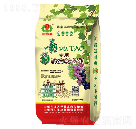 10�|���ь�(zhu��n)��΢�������-�ٻ�����